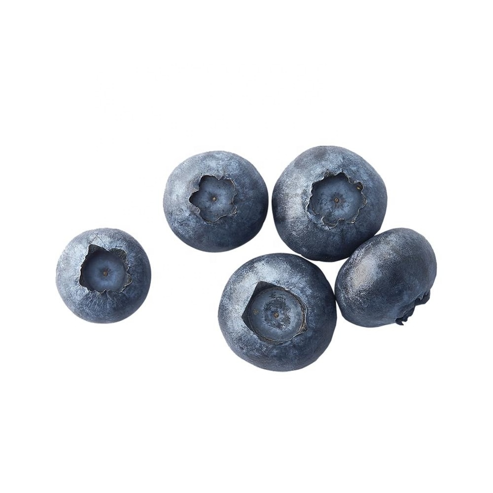 Chinese Brands High Quality Cultivated Bulk Fruit Frozen Blueberries IQF Wild Berry Blueberry Prices