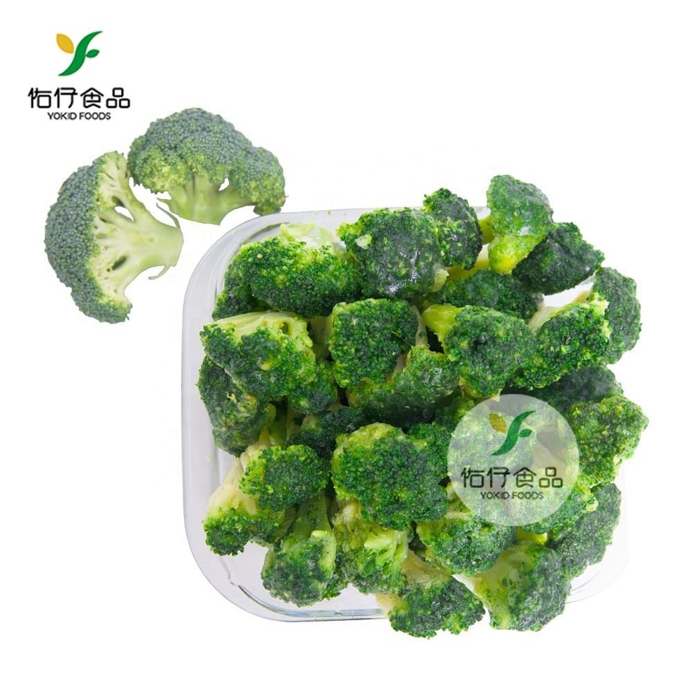 China Export Wholesale High Quality Frozen Organic Vegetables 1 floret Broccoli