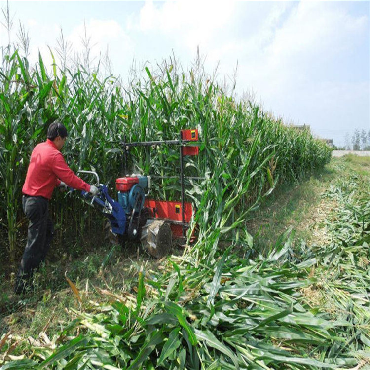 Corn hand-held automatic harvester  Single row crop harvester  Small multi-functional harvesting for agriculture