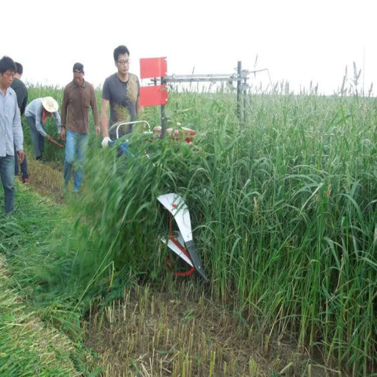 Harvesters are used for corn stalk harvesting