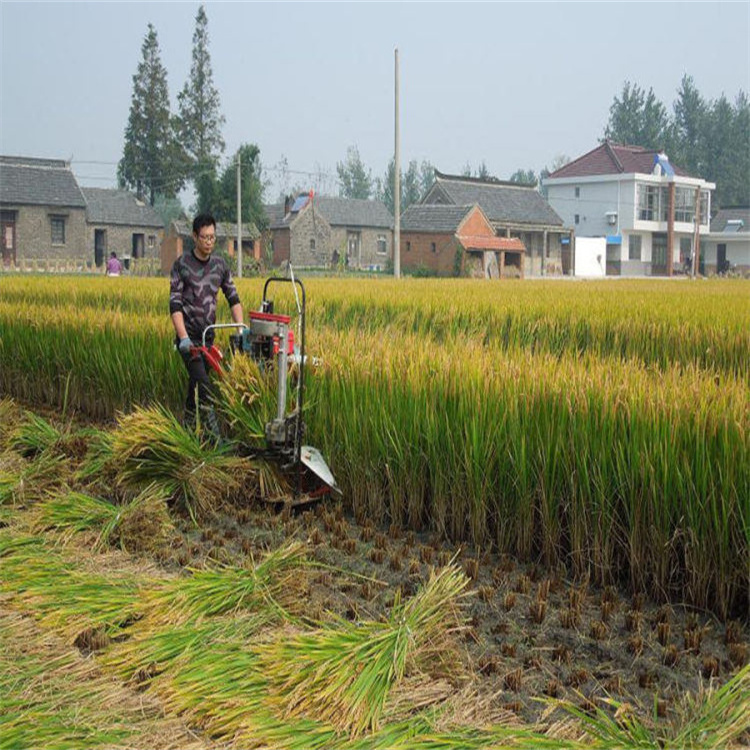 Hand-held inami harvester one-sided agricultural mower 120cm width four-stroke portable grass harvester