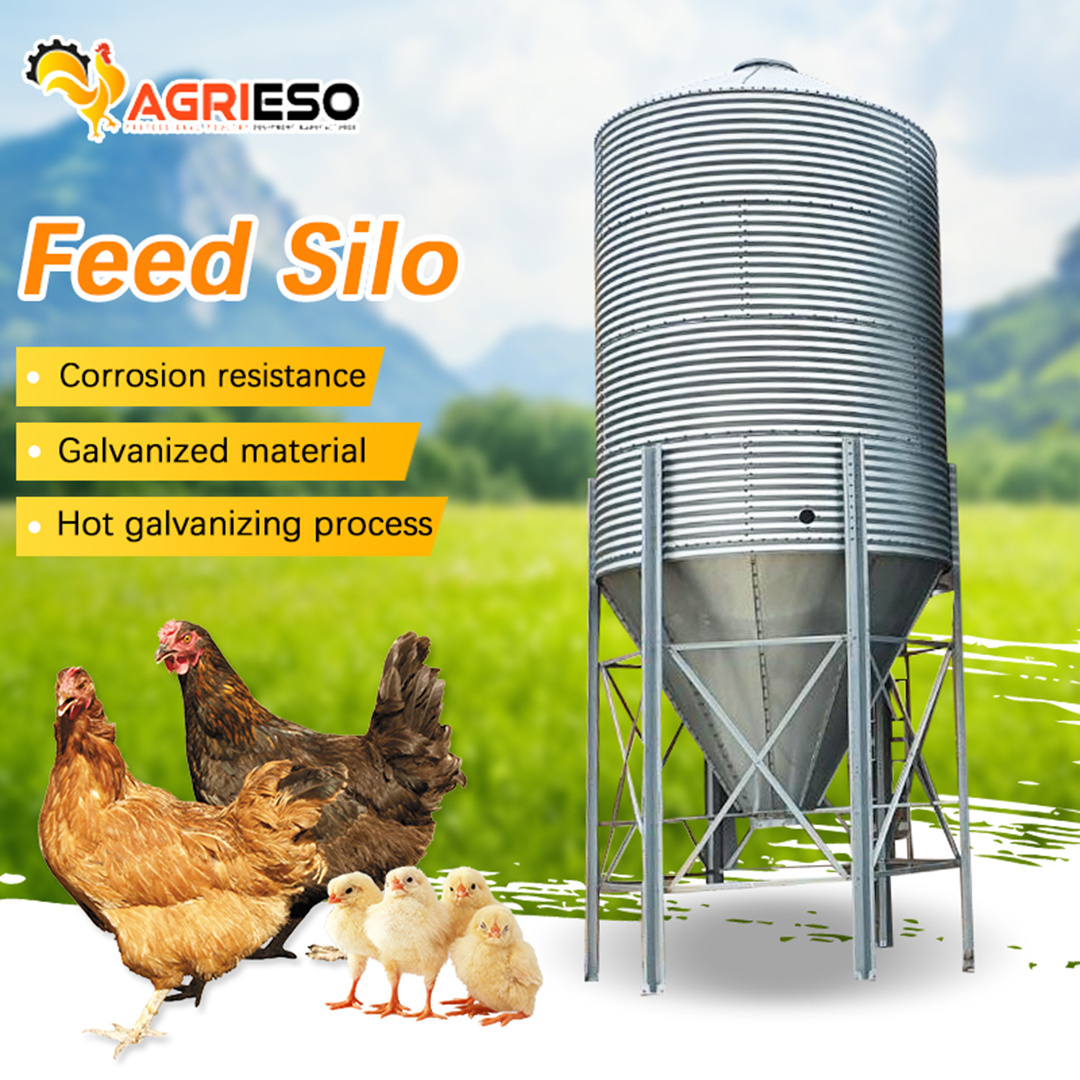 Top Quality 3ton - 30ton Feed Silo for Corn Wheat Soya Chicken Farm Grain Feed Silo