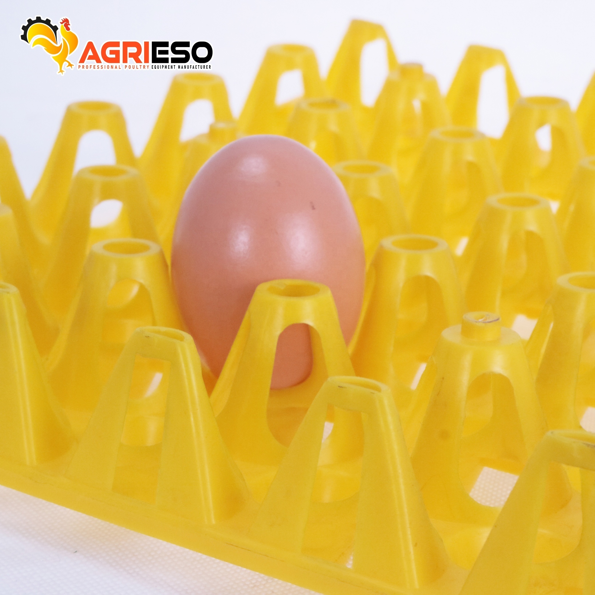 AGRIESO egg tray holder for transport cheap price 30 egg tray duck chicken eggs plastic tray