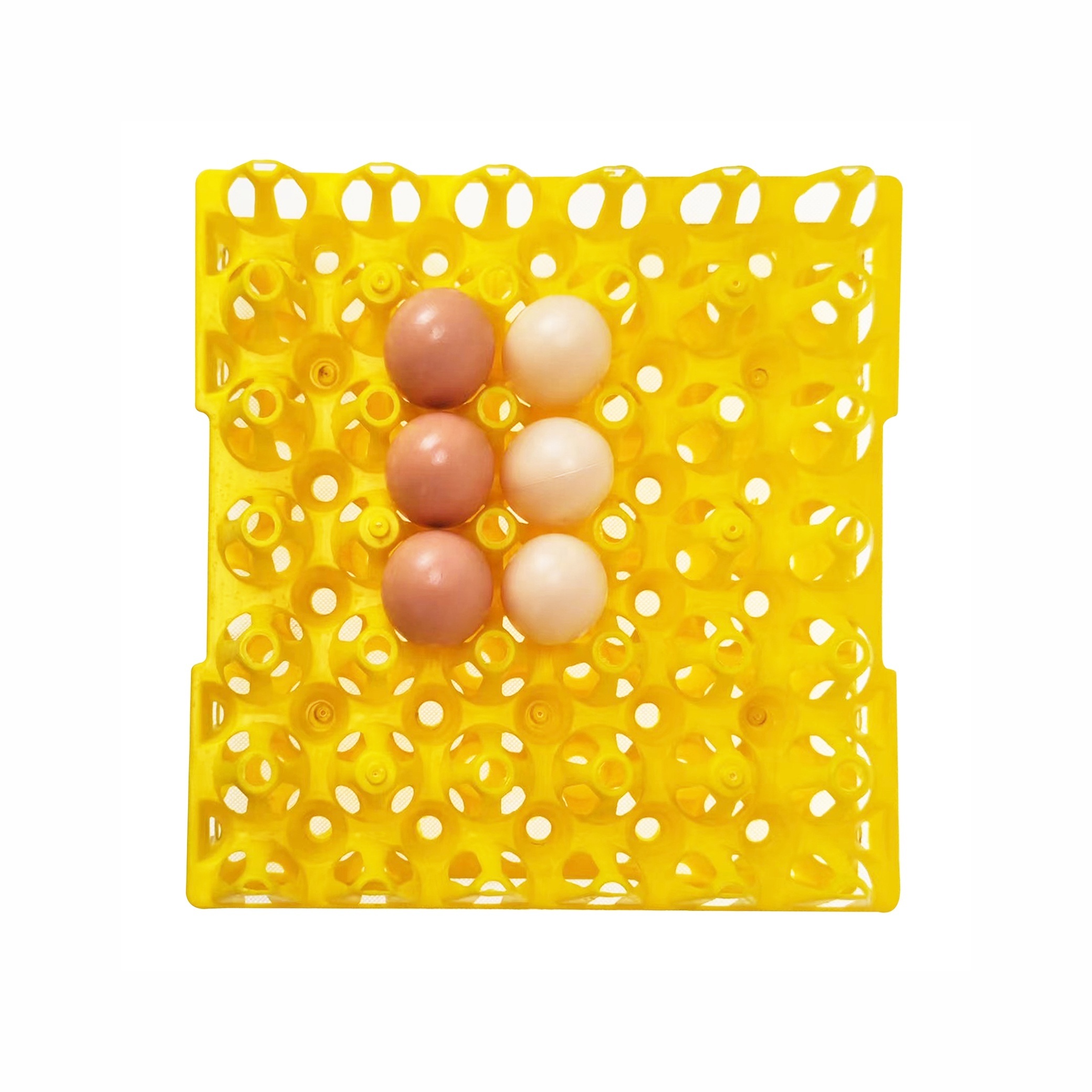 AGRIESO egg tray holder for transport cheap price 30 egg tray duck chicken eggs plastic tray