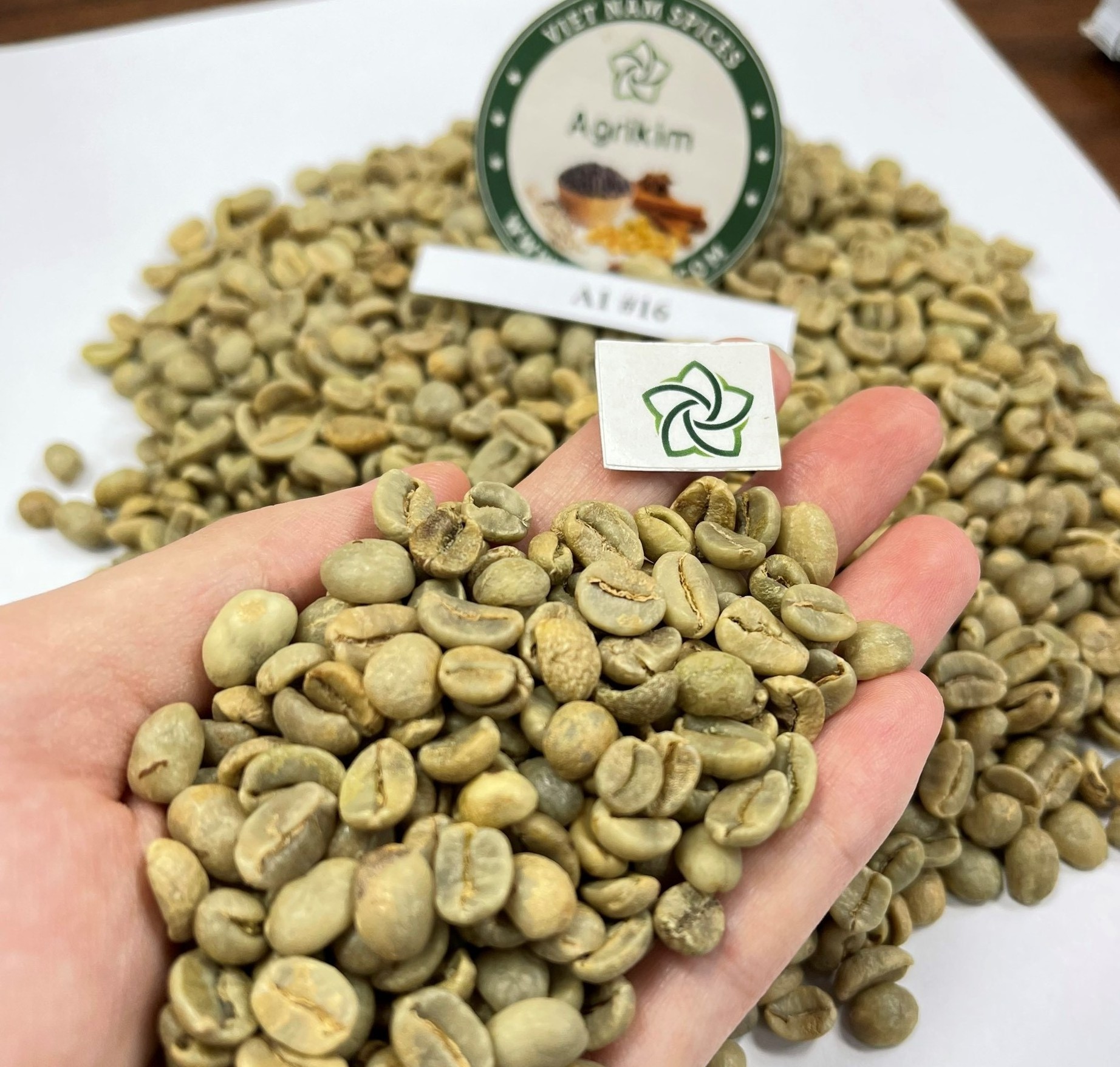 100% Pure green beans arabica from Binh Duong Vietnam Raw coffee processing for sale Contact supplier Mr Henry +84368591192