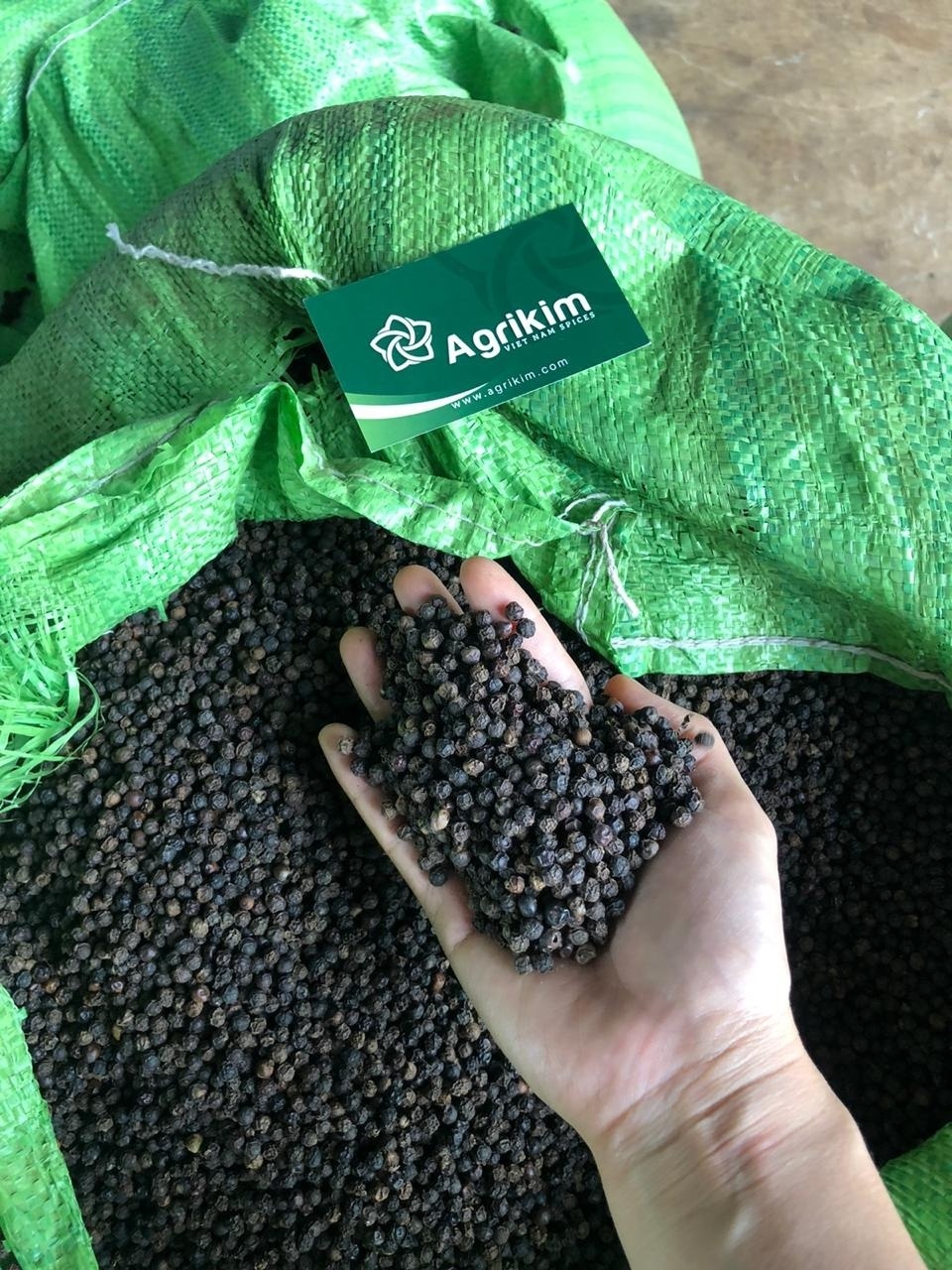 the best international black pepper price with full certificates and top quality from reliable Vietnam supplier +84 363 565 928