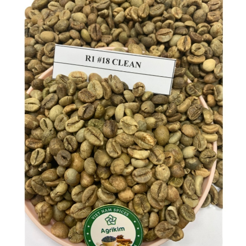 Cheap Raw green coffee beans bulk Vietnamese wholesale arabica and robusta top quality 1kg sample free +84 326055616