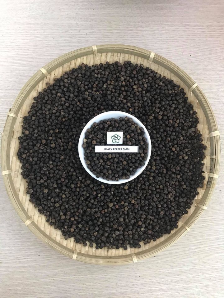 Black Pepper 5MM With Very Good Price from Vietnam