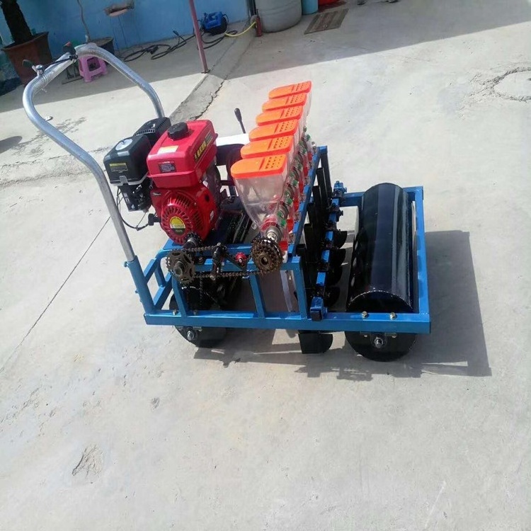 Farm machinery  6 rows onion carrot garlic seed planter with gasoline vegetable seeder machine