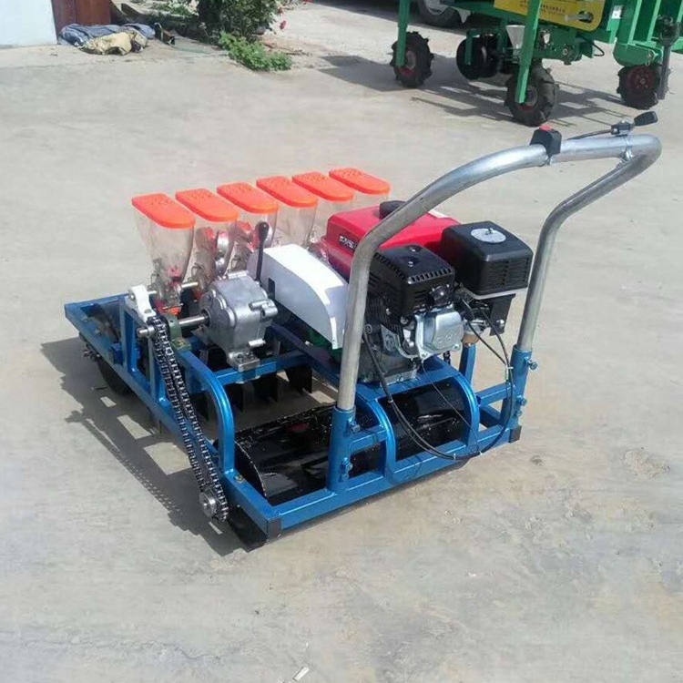 Farm machinery  6 rows onion carrot garlic seed planter with gasoline vegetable seeder machine