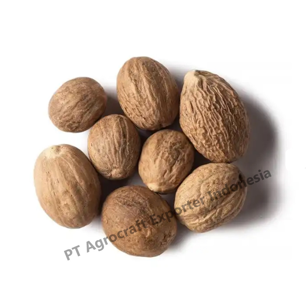 Evergreen Tree Cultivated Nutmeg Indonesia Raw Processing Type Bag Packaging Food Grade High Quality Nutmeg Wholesale Price 2023