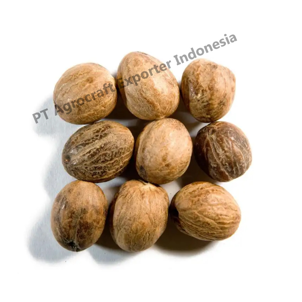 High Quality Evergreen Tree Cultivated Natural Organic Nutmeg From Indonesian Suppliers Manufacture Wholesale Exportable Nutmeg