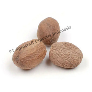 Best Price Wholesale Export Nutmeg From Indonesia Current Year Crop Harvested High Quality Factory Supply Natural Nutmeg 2023