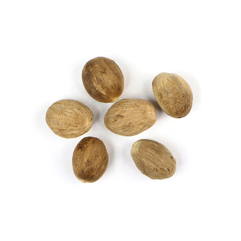 Evergreen Tree Cultivated Nutmeg Indonesia Raw Processing Type Bag Packaging Food Grade High Quality Nutmeg Wholesale Price 2023