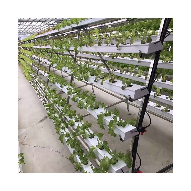 A Type nft  channel hydroponics grow system agricultural/commercial/industrial NFT uniformed Planting Channel