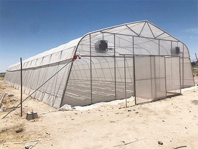 Greenhouse construction tunnel greenhouse agricultural gothic film flower greenhouse