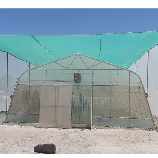 Greenhouse construction tunnel greenhouse agricultural gothic film flower greenhouse