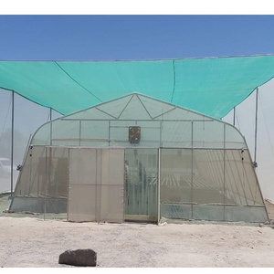 Greenhouse construction tunnel greenhouse agricultural gothic film flower greenhouse