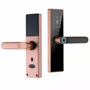 Fingerprint Smart Lock Tuya WiFi App Unlock Door Locks with Key NFC Rifd Smart Card Combination Electronic Digital Lock