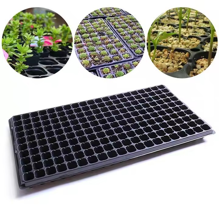 Plant Growing Seedling Tray 200 Cell Vegetable Seed Germination Tray Carton Box Plastic Tree Tray Ten Cell Plug 500 Not Coated