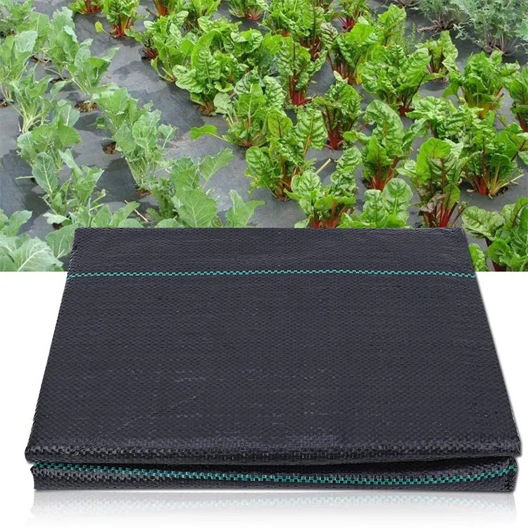 Eco-Friendly Heavy Duty Black Mulch Anti-Grass Cloth 50m Length 10m Size Waterproof Garden Weed Control Mat for Agriculture