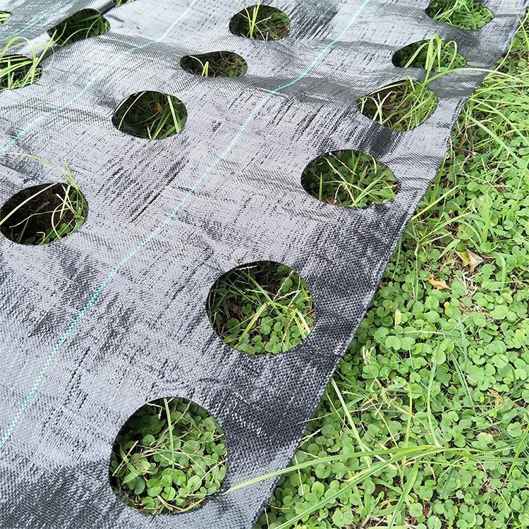 Eco-Friendly Heavy Duty Black Mulch Anti-Grass Cloth 50m Length 10m Size Waterproof Garden Weed Control Mat for Agriculture