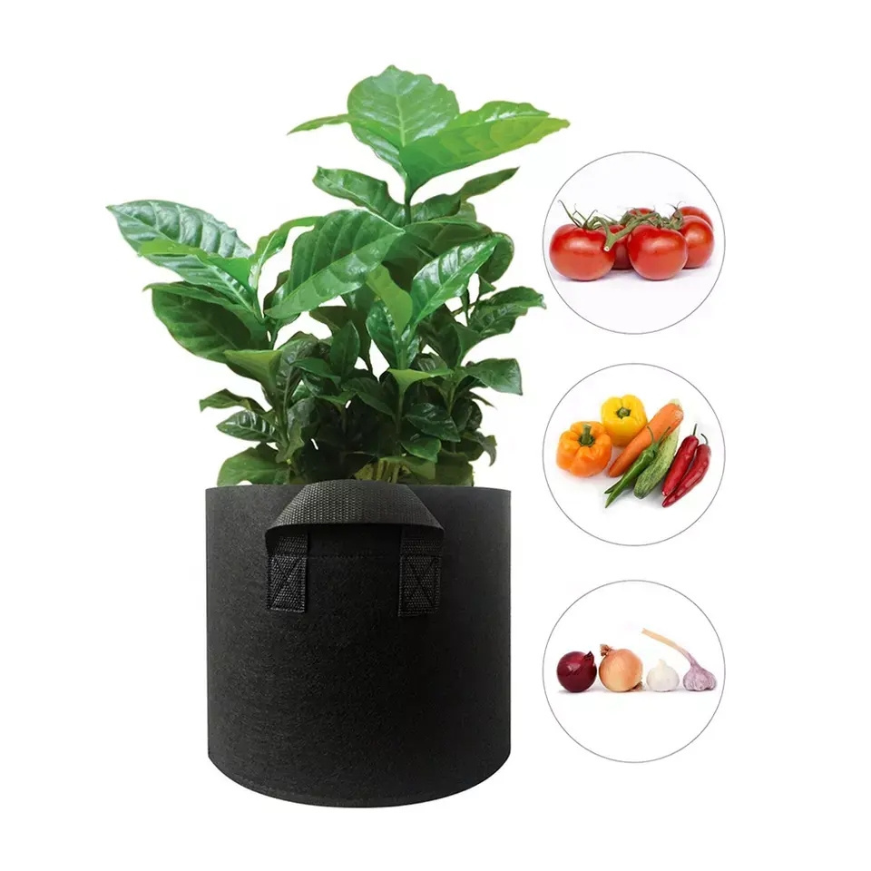 Eco Friendly HDPE poly 10 Gallon fabric pots grow nursery bag for fruit