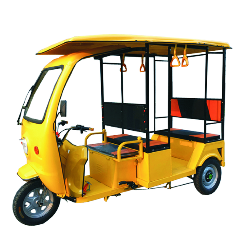 60V Electric Pedicab Three Wheel Cargo Ebike with Rear Hub Motor E-Rickshaw Electric Tricycle