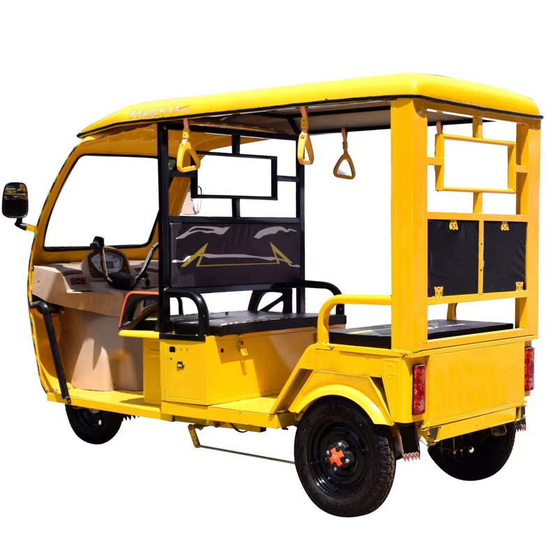 60V Electric Pedicab Three Wheel Cargo Ebike with Rear Hub Motor E-Rickshaw Electric Tricycle