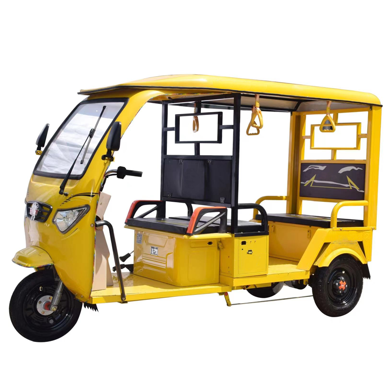 60V Electric Pedicab Three Wheel Cargo Ebike with Rear Hub Motor E-Rickshaw Electric Tricycle