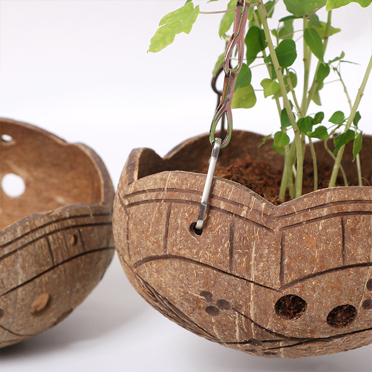 Coconut shell hanging plant basket coconut bowl set meal coconut shell flower pot