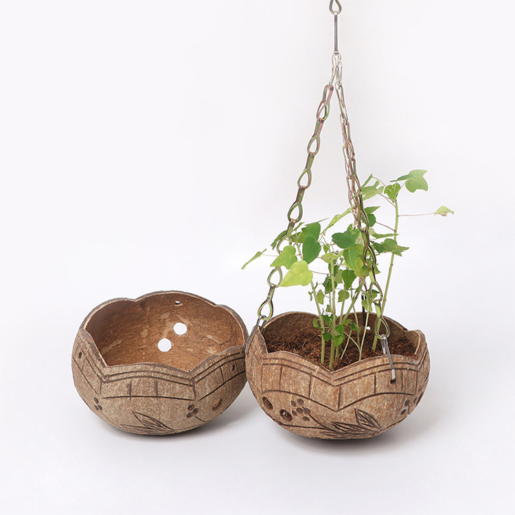 Coconut shell hanging plant basket coconut bowl set meal coconut shell flower pot