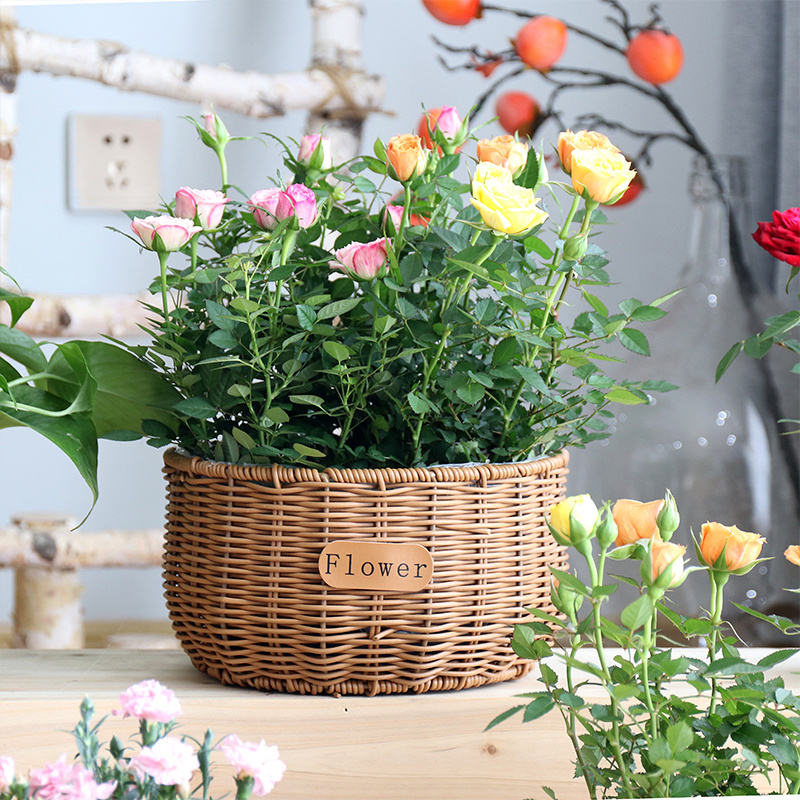 Woven Flower Pot, Handmade Round Carrying Basket Flower Arrangement Basket Balcony Outdoor Basket Decorative Flower Vessel