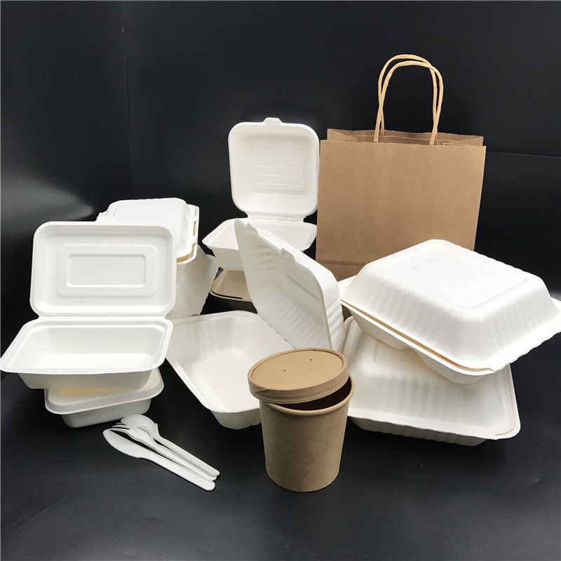 Eco 9*6 inch disposable biodegradable togo container bagasse take away lunch packing boxes for food