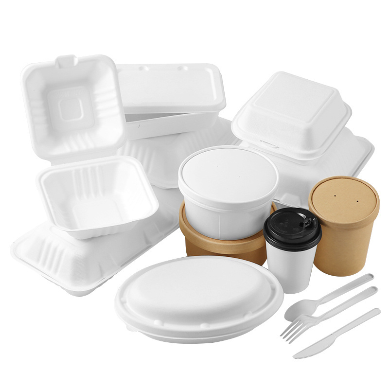 Eco 9*6 inch disposable biodegradable togo container bagasse take away lunch packing boxes for food