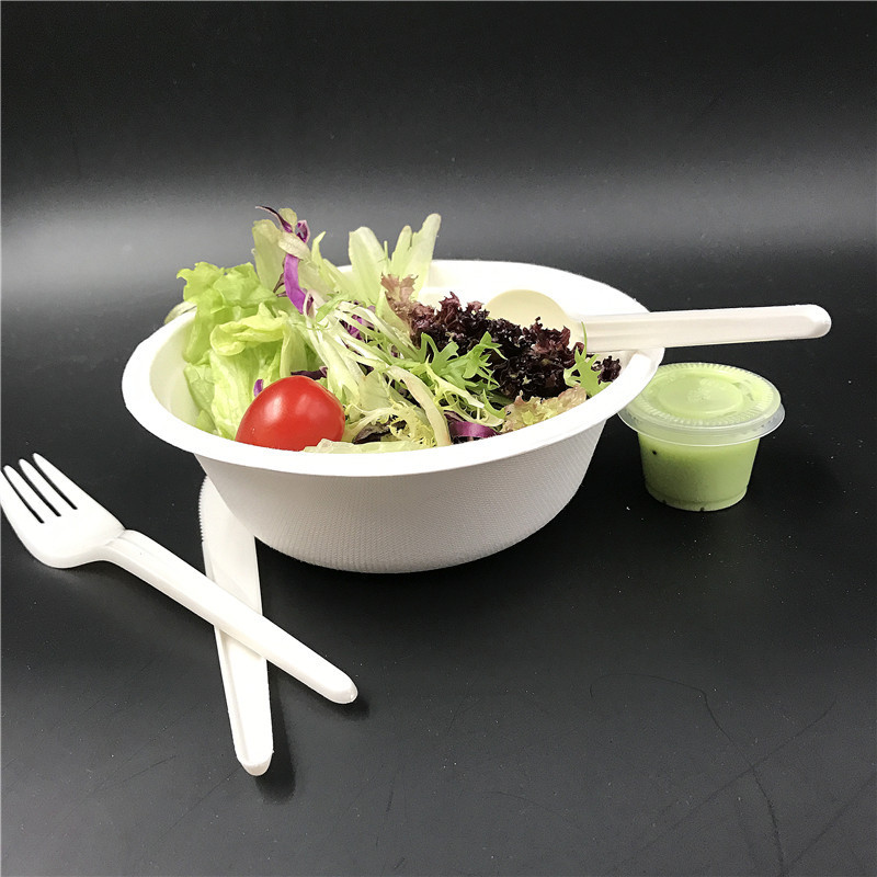 2024 new food containers disposable biodegradable 16 oz recyclable bagasse take away soup bowls for ramen