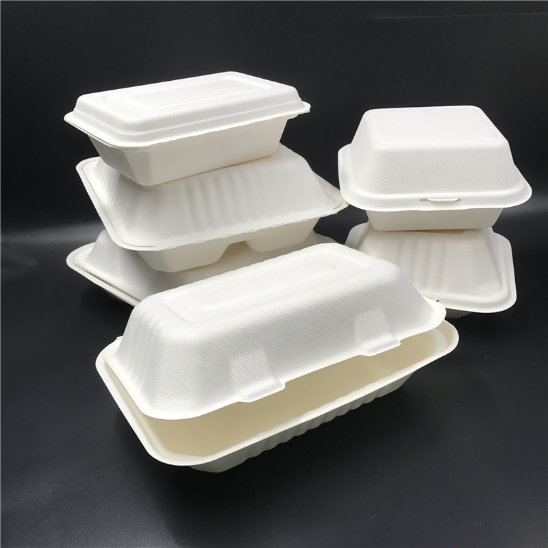 Eco 9*6 inch disposable biodegradable togo container bagasse take away lunch packing boxes for food