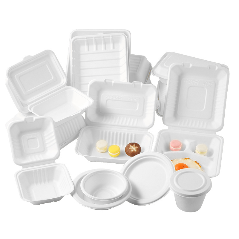 Eco 9*6 inch disposable biodegradable togo container bagasse take away lunch packing boxes for food