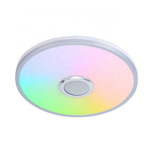 36W APP Remote Control Ceiling Light with Speaker Smart LED Music Modern Ceiling Light