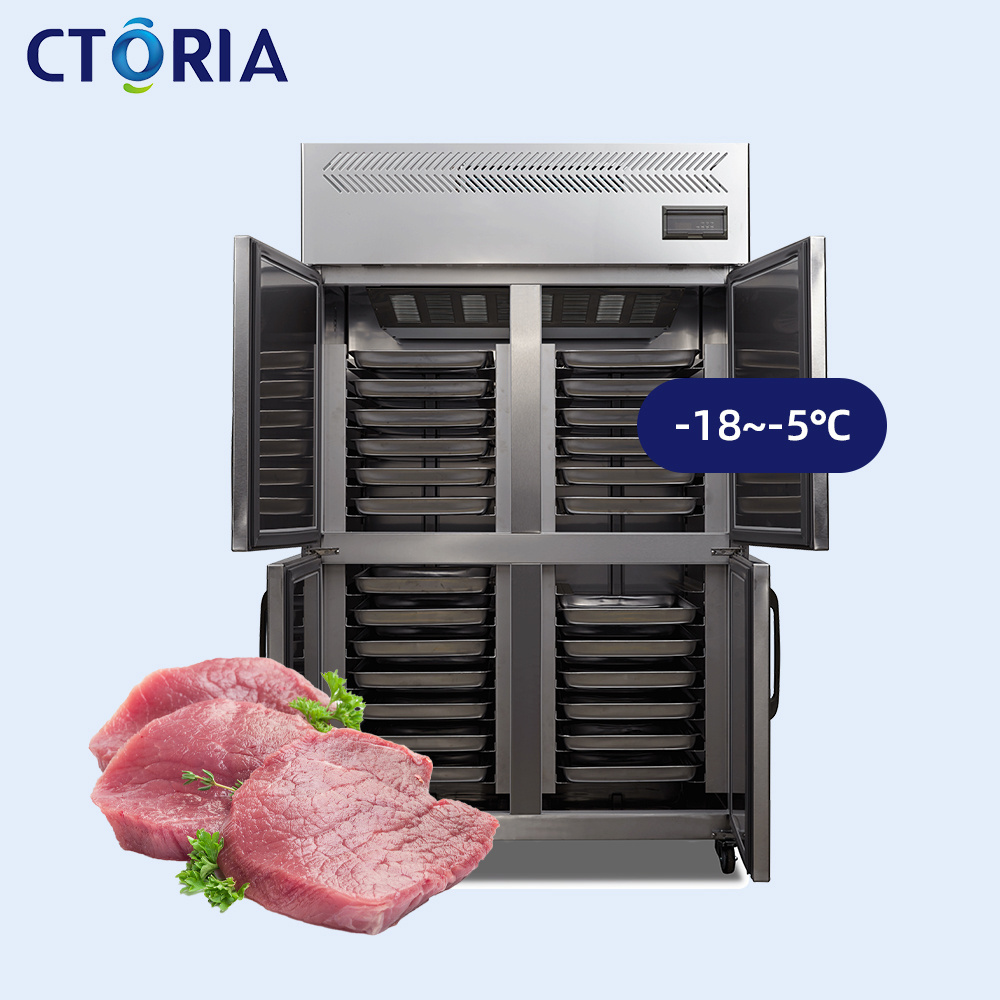 Comprehensive Technical Support Fridge Refrigerator Bar Refrigeration Commercial Upright Freezers For Fish/Meat/Vegetables/Fruit