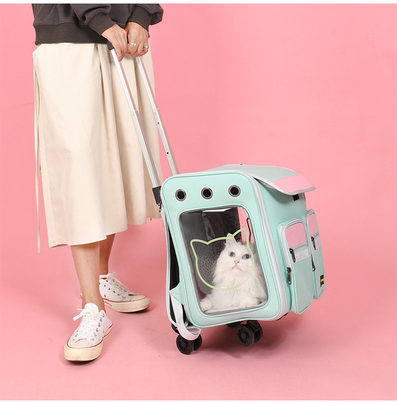 Twinkle 2021 new arrive custom pet dog cat carrier stroller with wheels