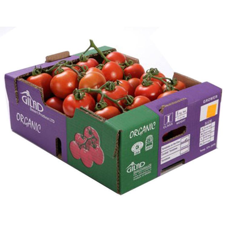 Corrugated Shipping Carton Box for Fresh Fruit Vegetable Cardboard Banana Box Moving Boxes For Tomato