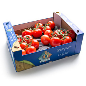 Corrugated Shipping Carton Box for Fresh Fruit Vegetable Cardboard Banana Box Moving Boxes For Tomato