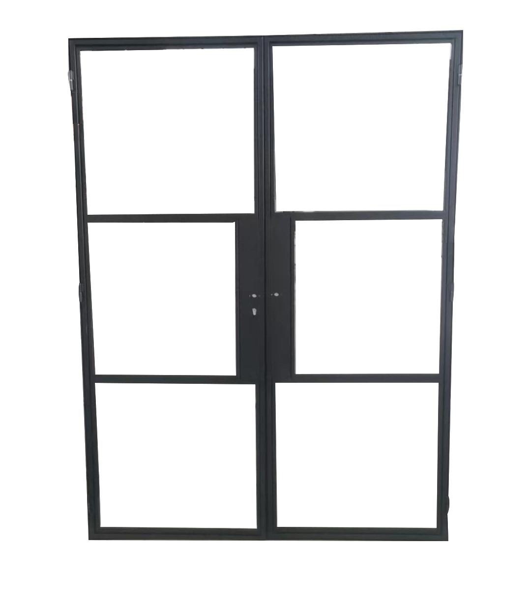 Beautiful Interior Steel Swing Door Tempered Glass Swing Door For Living Room