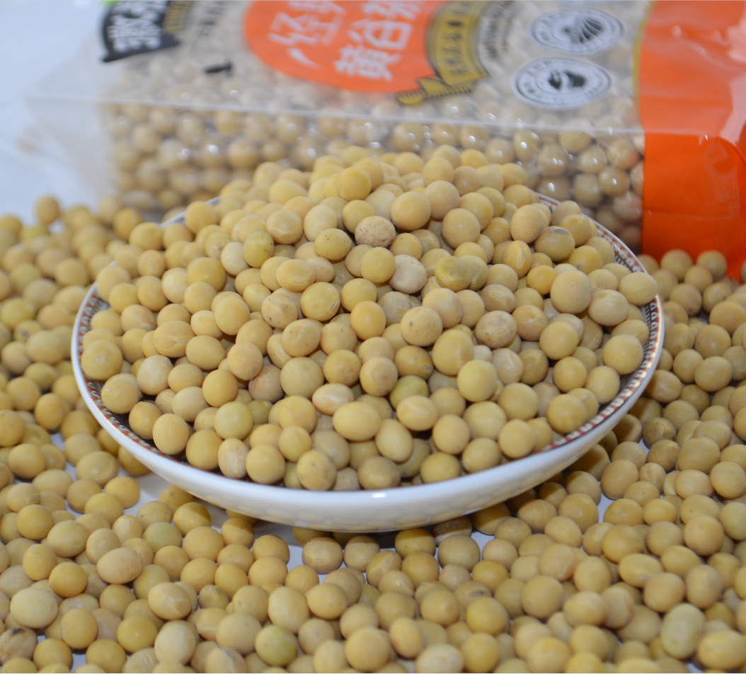 Sprouting and Food Grade Yellow Soybeans Top Quality Dry Soya Beans Non-gmo Soybean