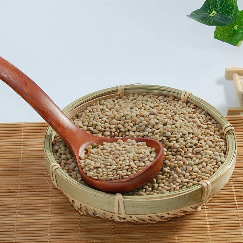 New Crop Wholesale Green Lentils Export Price Cheap Lentil Green