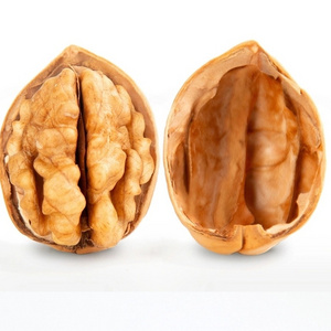 Xinjiang Walnuts Factory Wholesale Top Walnut Bulk Raw 185 Walnuts With Shell