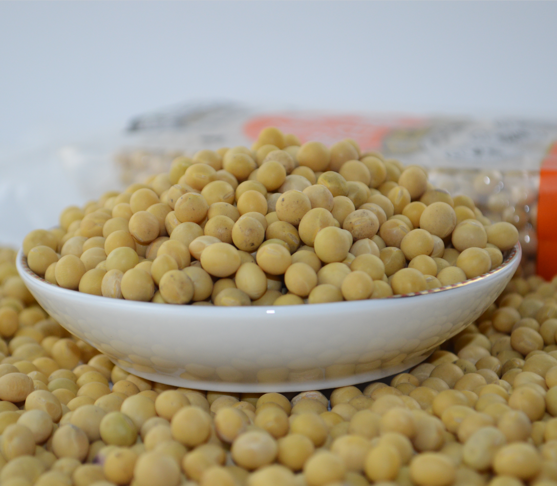 Sprouting and Food Grade Yellow Soybeans Top Quality Dry Soya Beans Non-gmo Soybean