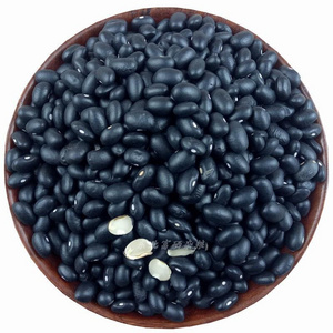 Newest Crop Bulk Kidney Bean Dried Black Kidney Beans For Sale