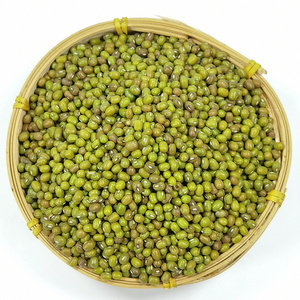 Proper Price Top Quality Healthy Low Fat Green Bean Grain Food Bulk Dried Mung Bean